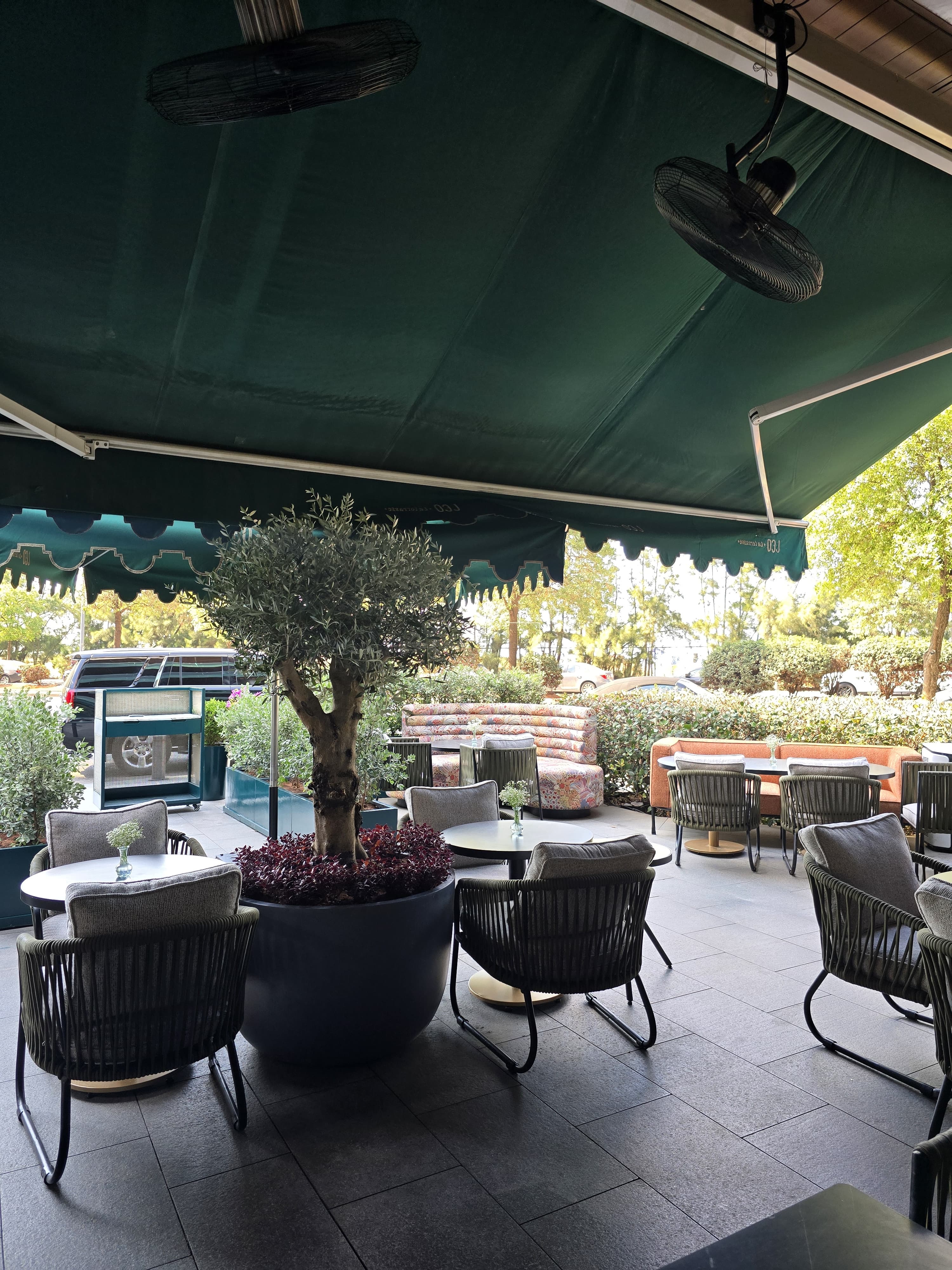 The terrace under the emerald awning