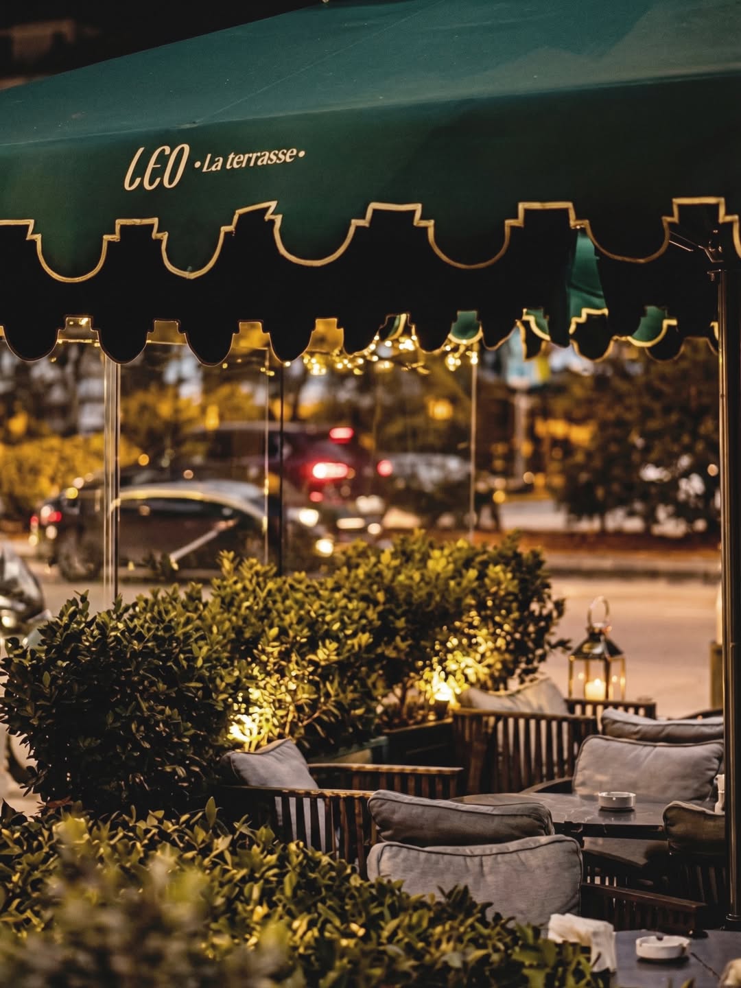 The terrace under the emerald awning